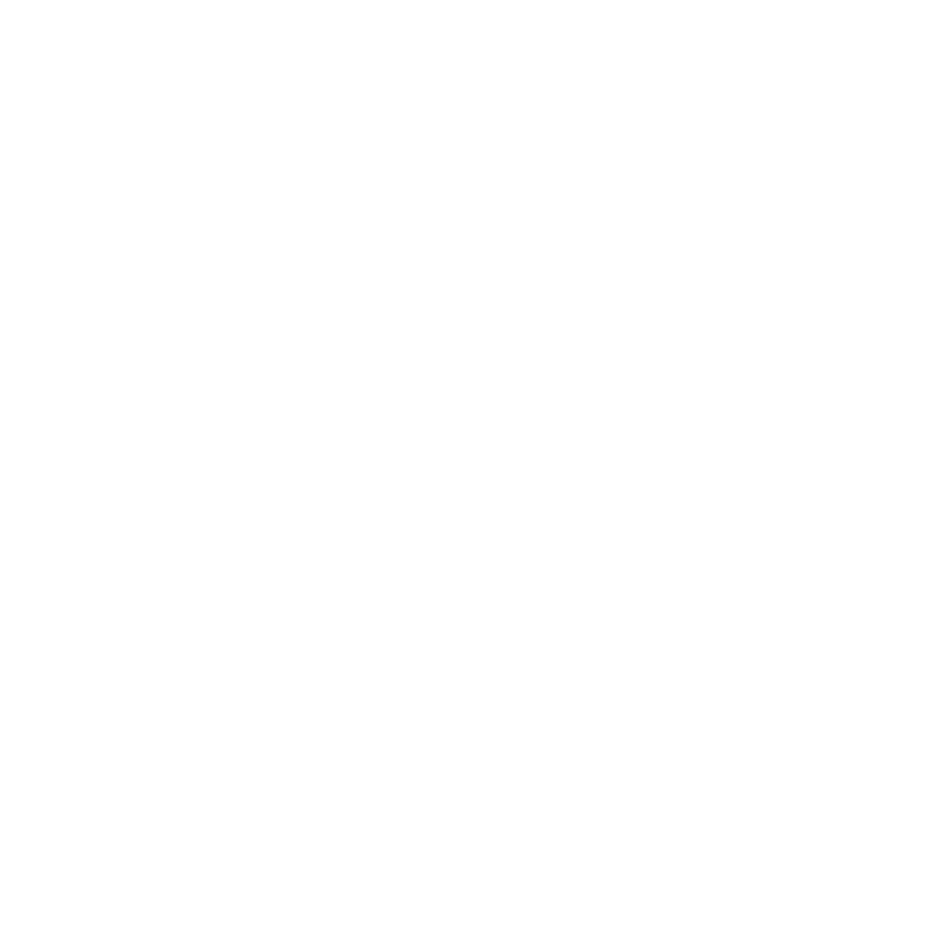 Nadri Logo White